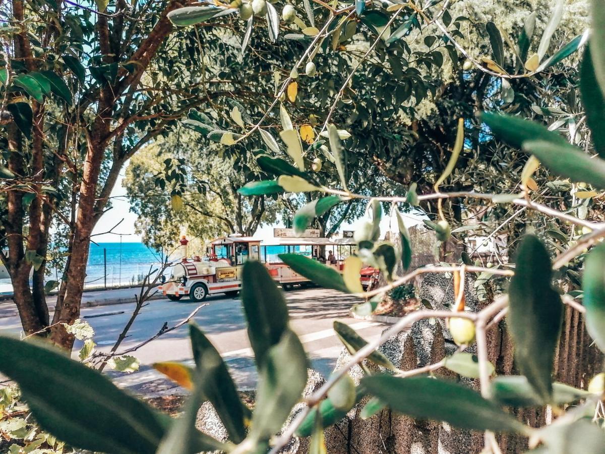 Casa Parenzana Daire Poreč Dış mekan fotoğraf
